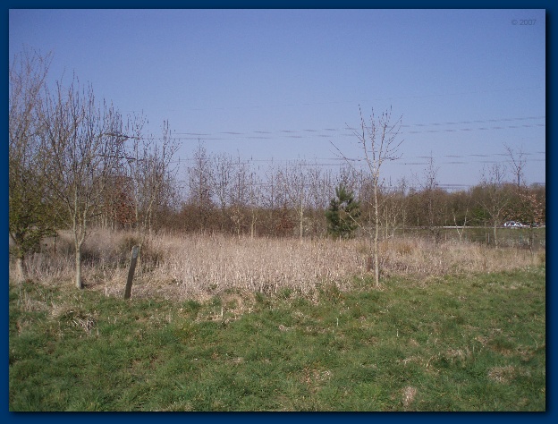 600x449 pixels (136K)